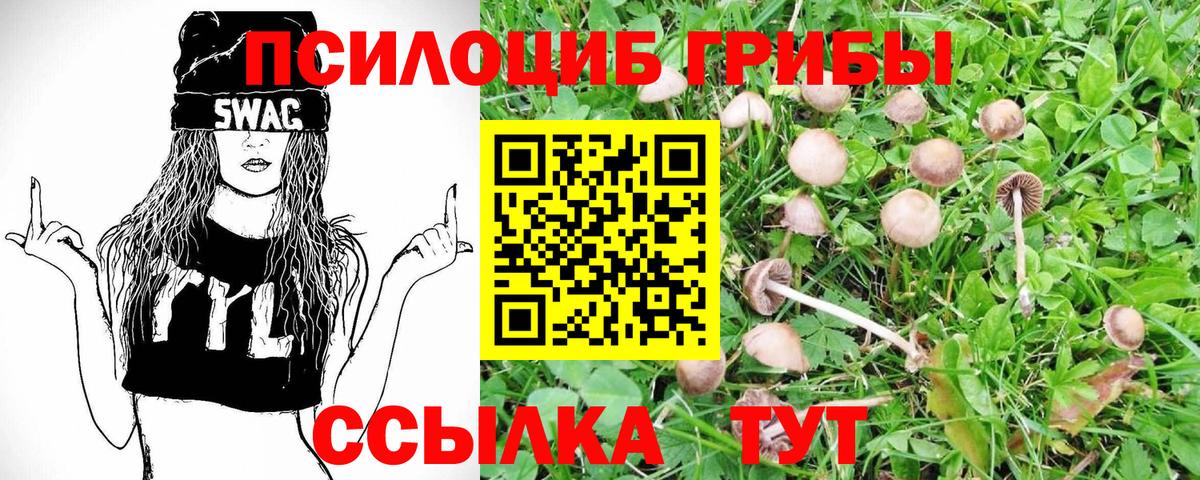 Галлюциногенные грибы GOLDEN TEACHER Старая Купавна